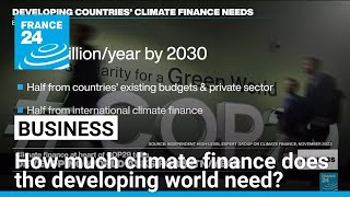Climate finance at top of agenda as COP29 opens in Azerbaijan • FRANCE 24 English