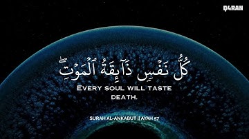 أرح سمعك.. تلاوة هادئة تريح القلب والعقل🩵😴 | ساعة كاملة🕛🎧 القارئ محمد ديبيروف | Muhammad Dibirov