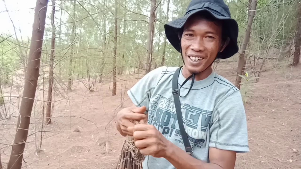 Mikat Ayam Hutan | Bonus Trik Pasang Racik | Pintu Hutan