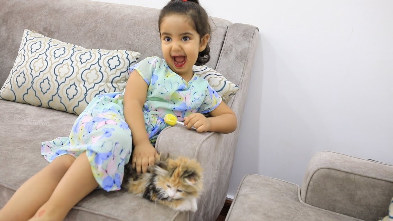 فزعة علاوي لـ ليلى // عماد اخذ قطوة ليلى الجديده .!!