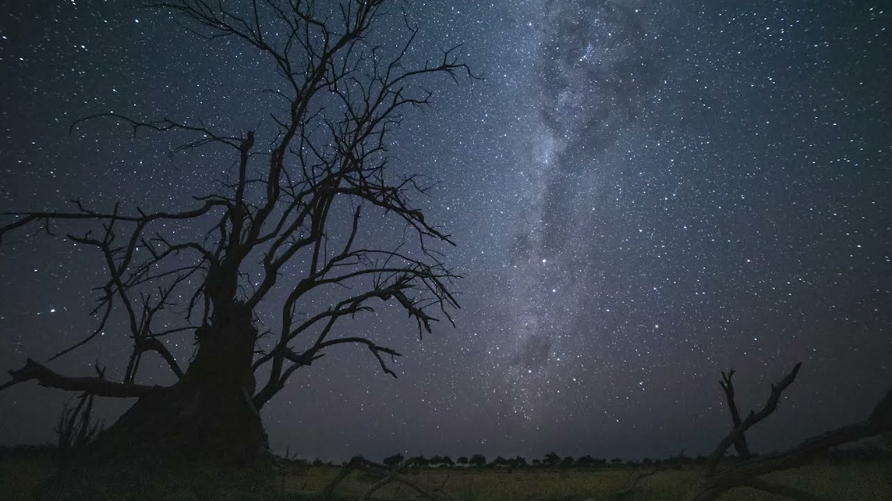 Natucate - Private Wilderness Experience 2021 in Botswana