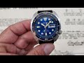 Seiko "Save The Ocean" King Turtle