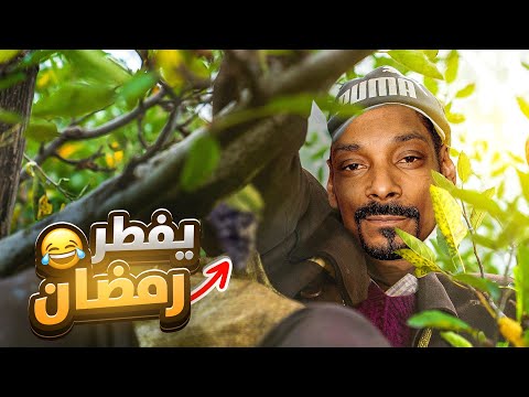 حكمت شمقمق ياكل في رمضان