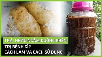 TRÁI NHÀU NGÂM ĐƯỜNG PHÈN TRỊ BỆNH GÌ? Cách làm và cách sử dụng hiệu quả | Vitalnoni.com