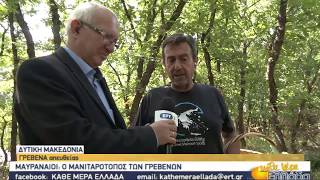 ΕΡΤ 3  Η Εκπομπή Κάθε μέρα Ελλάδα  στα Γρεβενά  για συλλογή μανιταριών