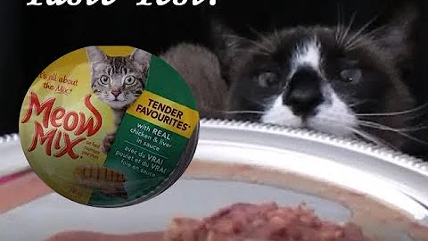 Watch the video about Snowshoe Siamese Cat Food Taste Test #1 - Meow Mix Tender Favorites Chicken & Liver In Sauce