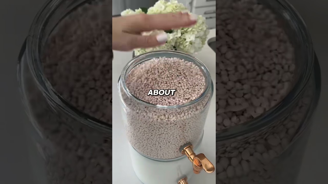 PART 2 | Brooke and Jubal Second Date Update | Lisa and Nick | 