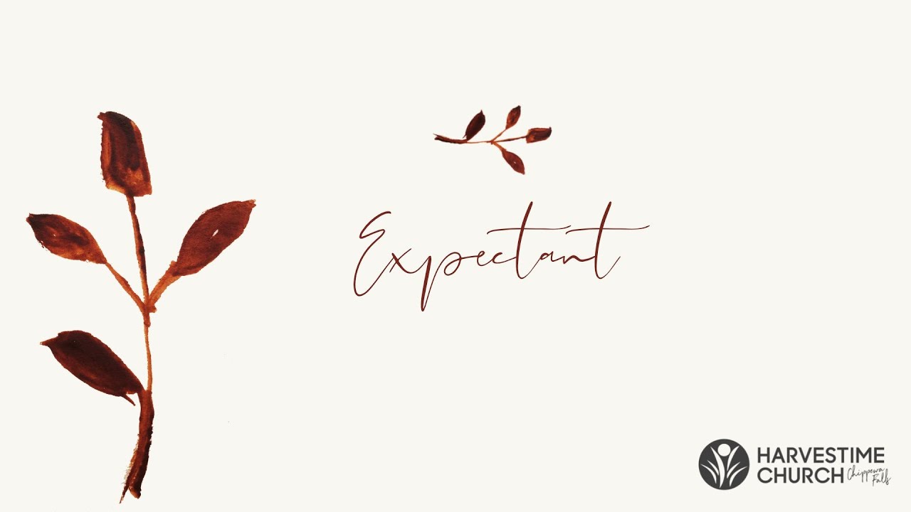 Expectant Women's Conference Speaker | Heather Harmon