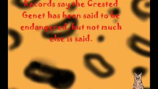 The Genet - World History Ignment