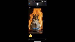 My Dad Blended My Hamster With His Protein Shake And Sent Me This...?