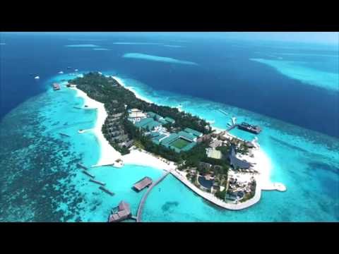 Куда отправиться на медовый месяц