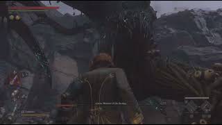 Performative Perusal Of Perfect Parries