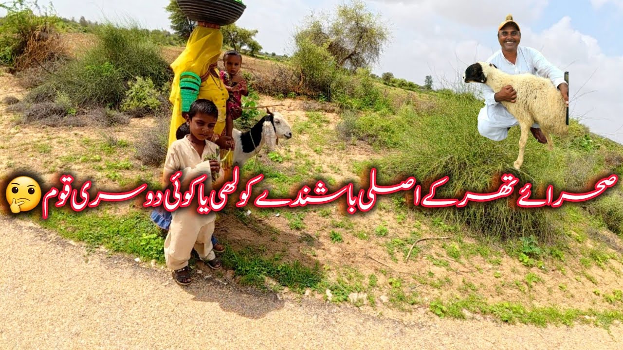 Going to Mubarak Tar from Samo Rind desert Moto Vlog best experience in ...