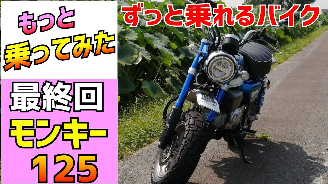最終回】44万円の原付！HONDAモンキー125はそれだけの価値はあるか