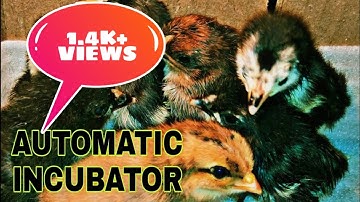 Automatic egg incubator machine using arduino || part1