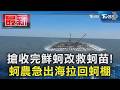 搶收完鮮蚵改救蚵苗!蚵農急出海拉回蚵棚｜TVBS新聞 @TVBSNEWS01