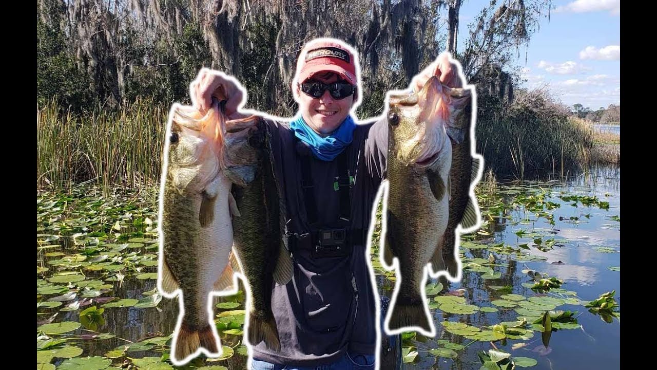Crazy Day on Lake Eustis! (Chatter Bait) YouTube
