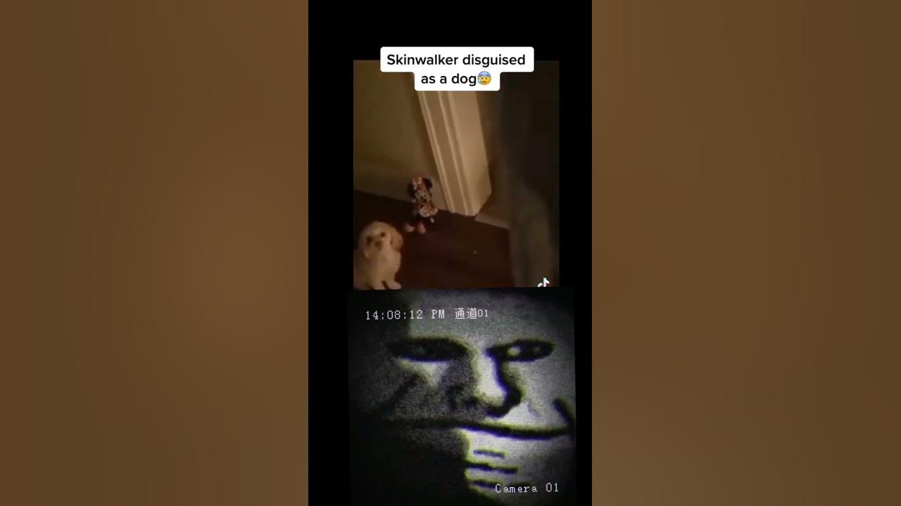 A skinwalker turned into a dog youtube