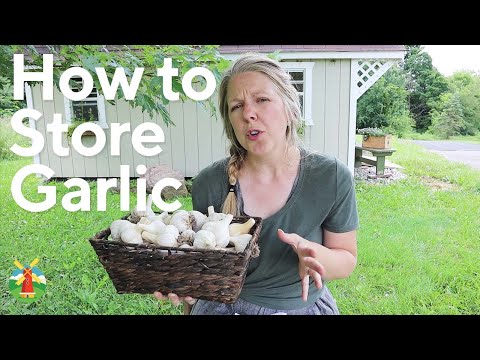 How to Store Garlic for Long-Term Use