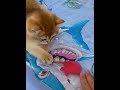 Summer Cooling Pet Water Bed Cushion Ice