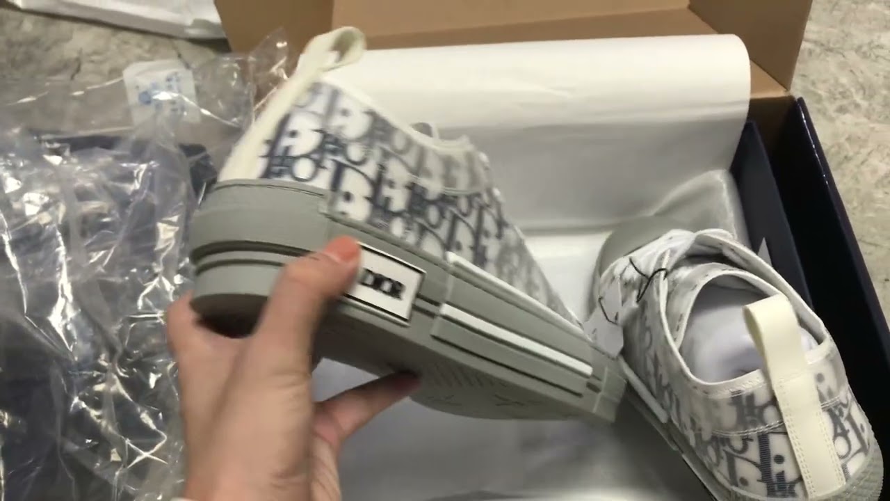 Christian Dior B23 Low Oblique Grey