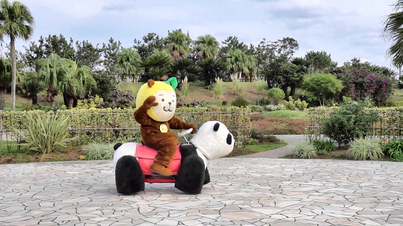 みやざき犬 ひぃくん パンダの乗り物 こどもの国 Youtube