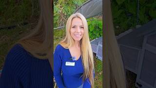 Weekly Chicken Check in with Paula Knipp the Home Chick #tampahomes  #chickens  #backyardchickens