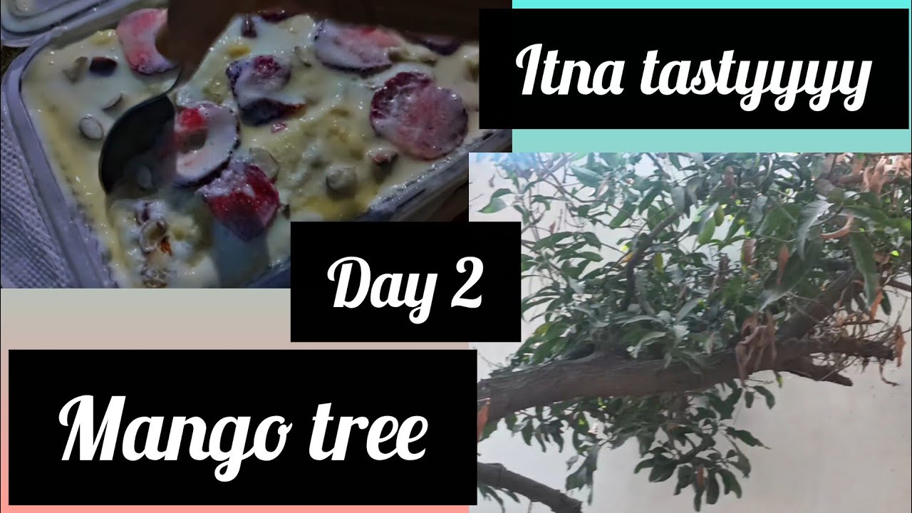 Daily routine Hyderabadi Tahari zabardast Arabian pudding itna tastyyyyy @irnazfaimlyvlogs#viralvlog