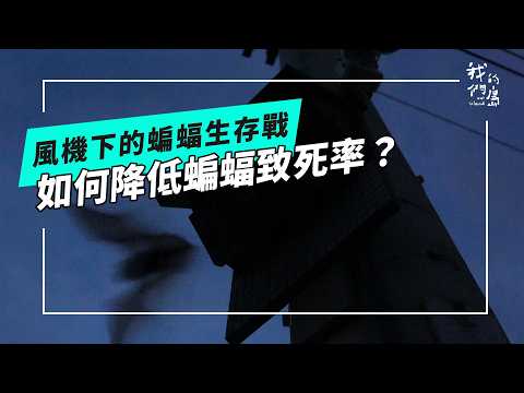 風機下的蝙蝠生存戰：如何在風速以及棲地喪失中找尋出路(公視我們的島 第1356集 2026-05-04)