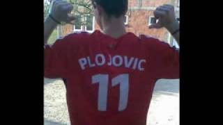 Plojovic