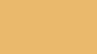 Color Harvest Gold, HEX #EAB76A, RGB 234,183,106