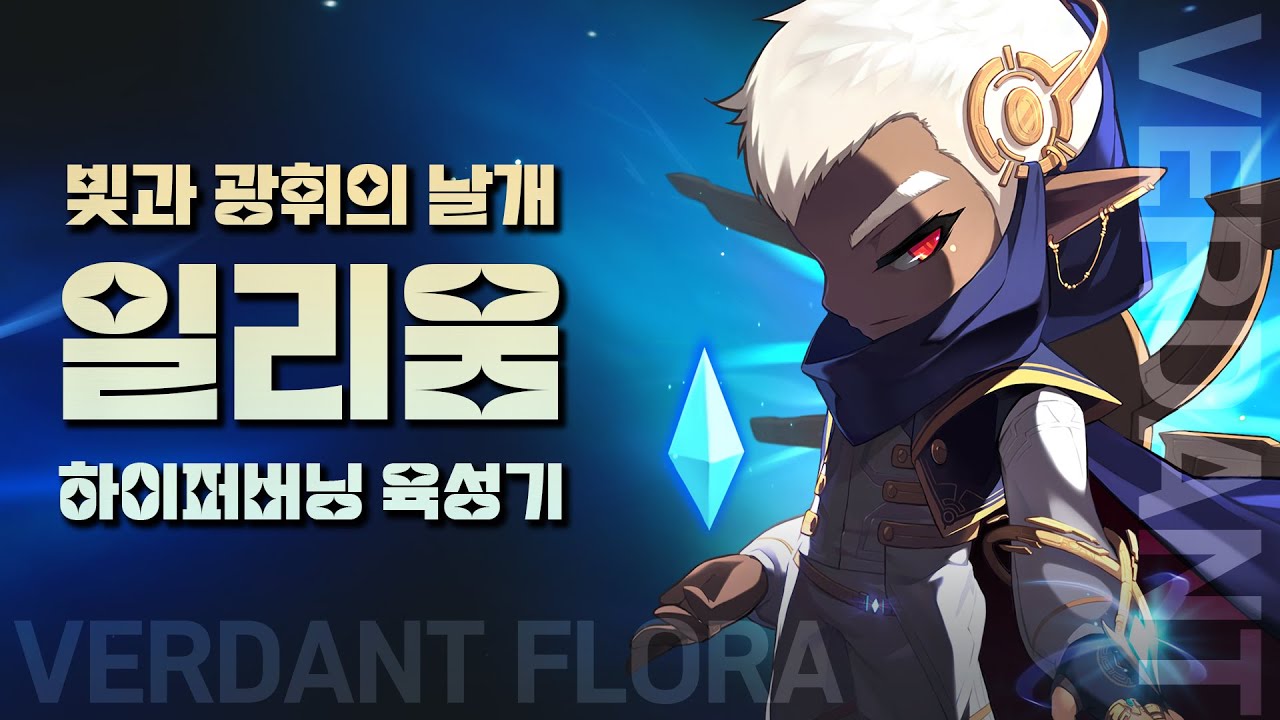 하이퍼버닝 250레벨 일리움 육성기 (특징/사냥터/보스) [메이플스토리 리부트 / 햄군님]