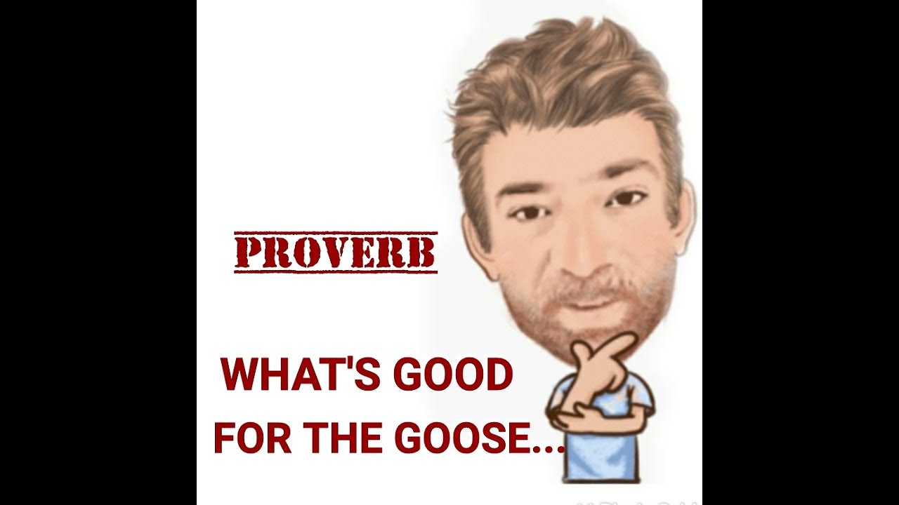 English Tutor Nick P Proverbs (424) What's Good For the Goose is Good