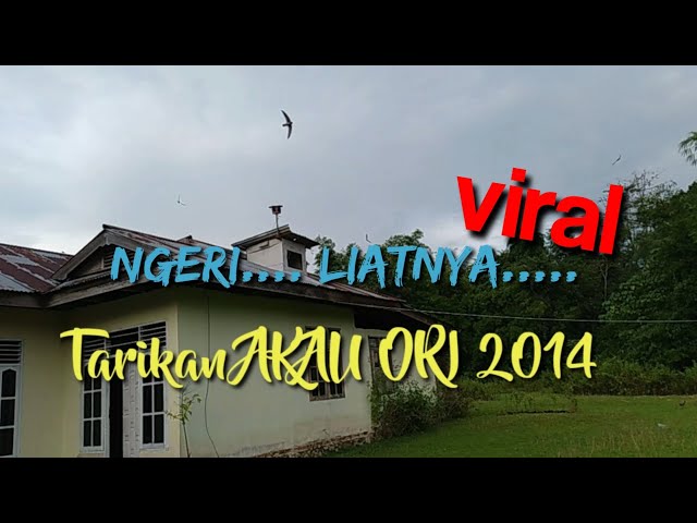 Suara Akau 2014 Original,‼️ngeri..tarikannya class=