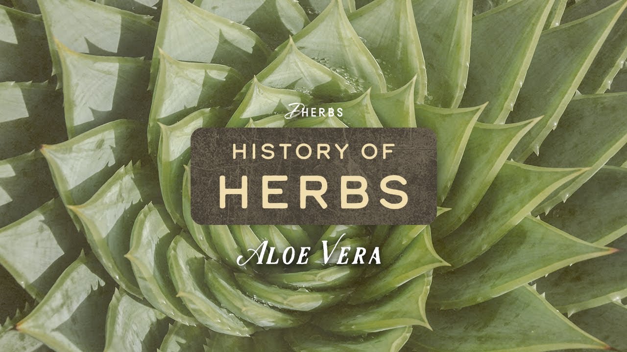 Does aloe vera have beneficial effects for diabetics? 