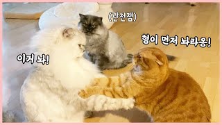 (ENG sub) This is my snack! [Benny Family]