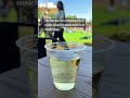 New dog park, bar opens in Lexington
