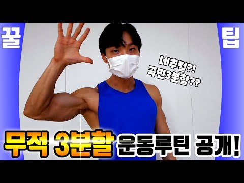 국민 3분할, 헬스장 운동루틴! 네추럴 헬린이라면 필독!!