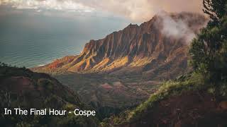 In The Final Hour - Cospe