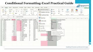 Conditional Formatting Made Easy: HR Analytics Excel Tutorial- @ogugua911