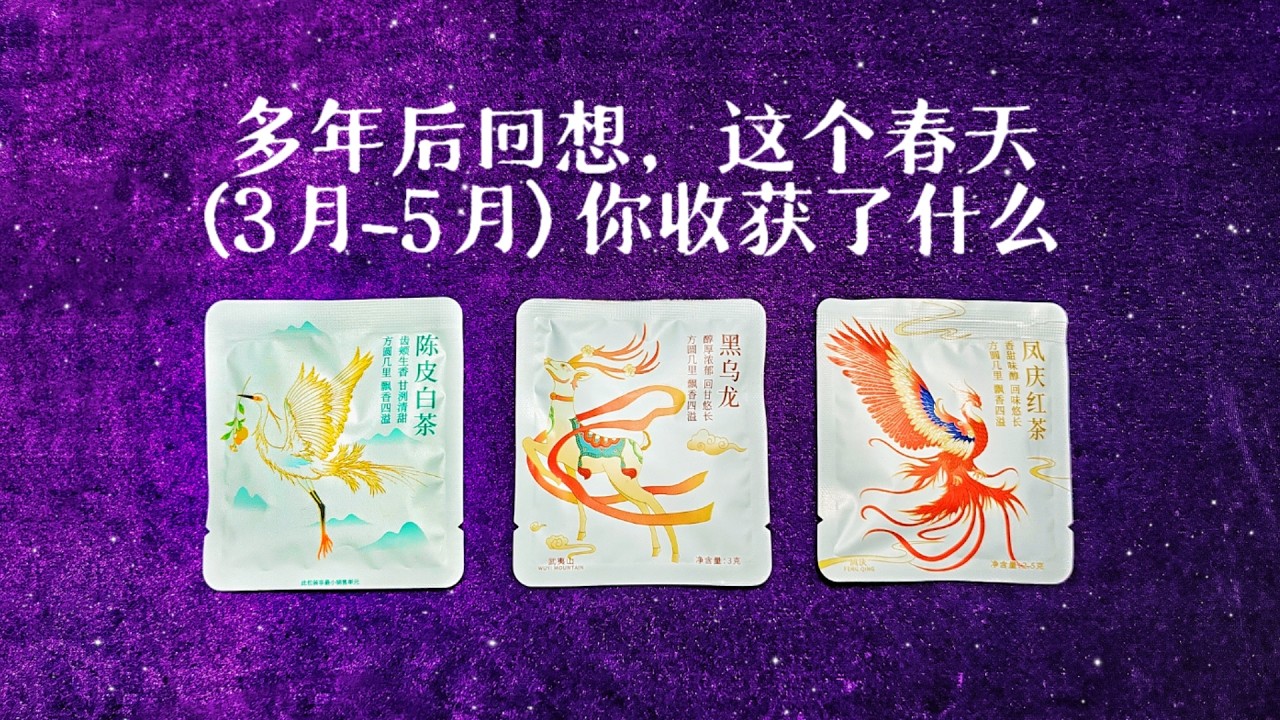 多年後回顧，2025年春季（三月至五月）你獲得了什麼？