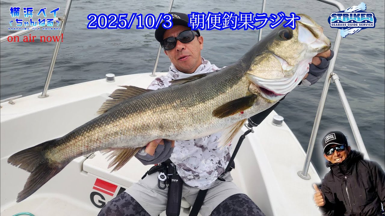 東京湾ビックベイトシーバス　 　　　　　ボートシーバス 2025/10/3 朝便【釣果ラジオ】 #シーバス #ビッグベイト #東京湾