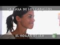 Lea Vicens estrena la casa de los caballos: el hogar del rejoneo | Toros desde Andalucía