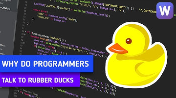 Why do programmers talk to rubber ducks?
