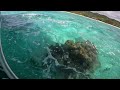 Captain Tama Muri Lagoon tour #rarotonga #cookislands