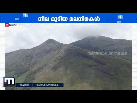 മൂന്നാറിൽ വീണ്ടും നീലക്കുറിഞ്ഞി വസന്തം! നീലപ്പട്ടണിഞ്ഞ മലനിരകൾ കാണാൻ സഞ്ചാരികൾ ഇടുക്കിയിലേക്ക്