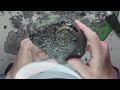 A Peronoceras prep a day to keep the doctor away