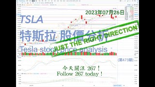 Analysis of TSLA Tesla stock price trend July 26, 2023 (No. 473)