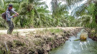 Download Lagu REZEKI NOMPLOK !!! Dapat Spot Full Bujuk Pemancing Jadi Bahagia 😂😂😂 MP3