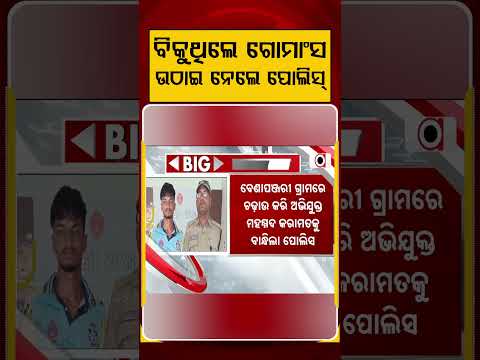 ବିକୁଥିଲେ ଗୋମାଂସ ଉଠାଇ ନେଲେ ପୋଲିସ୍ | Argus Reels | JatniNews | IllegalMeatRacket | PoliceAction